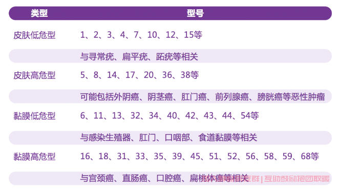 高危型hpv