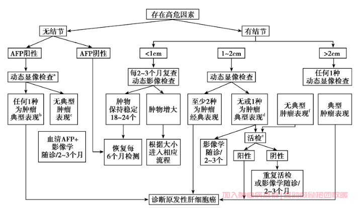 原发性肝癌诊断