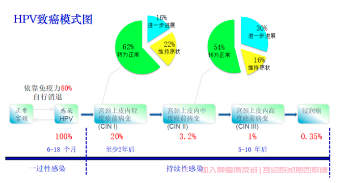 hpv致癌模式图