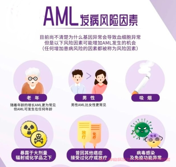 AML病因
