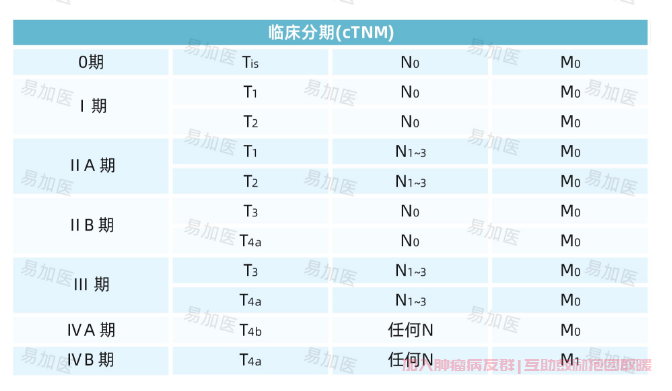 胃癌临床分期cTNM