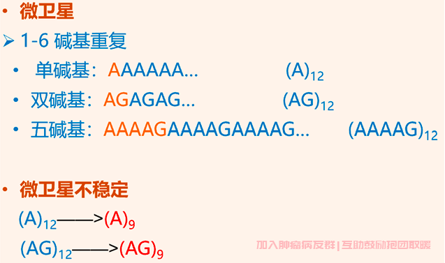 子宫内膜癌微卫星不稳定