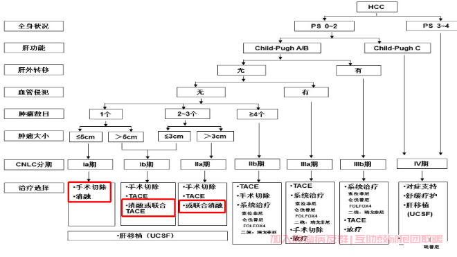 中国肝癌临床分期及治疗路线图