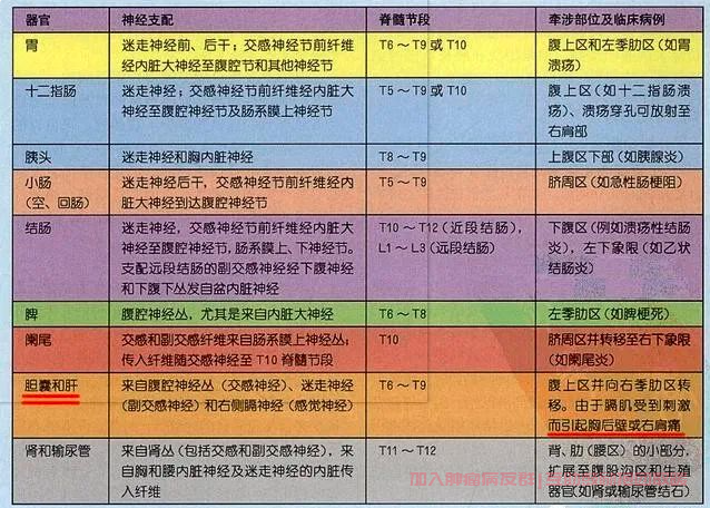 肝癌右肩痛涉及神经