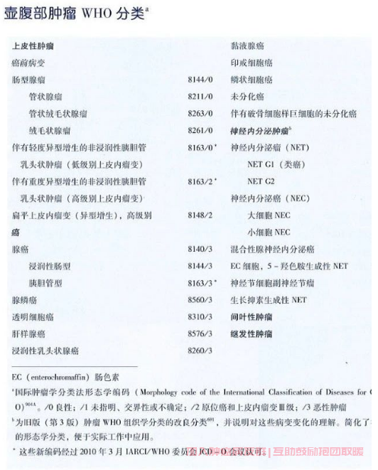 壶腹部肿瘤WHO分类