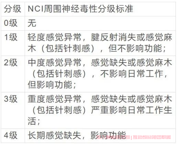 周围神经毒性