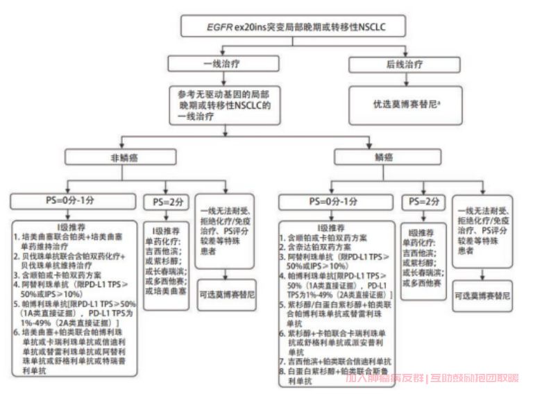 EGFR20突变型肺癌治疗