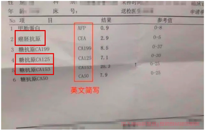 肿瘤标志物