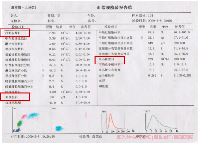 血常规