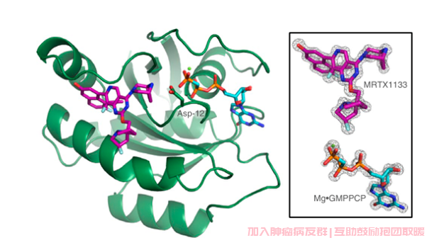 MRTX1133与 KRASG12D、GTP模拟物（GMPPCP）共络合的晶体结构