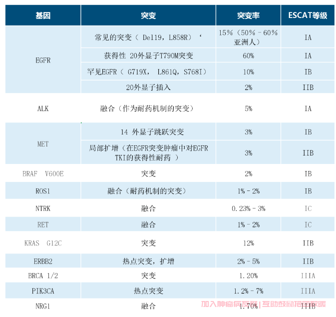 非小细胞肺癌检查哪些基因突变