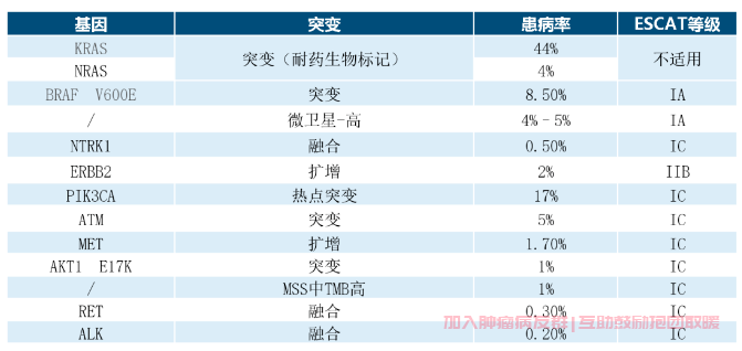 结直肠癌检查哪些基因突变类型