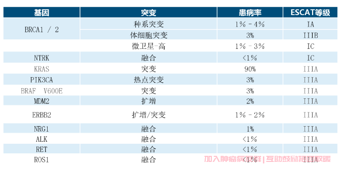 胰腺癌基因检测哪些类型