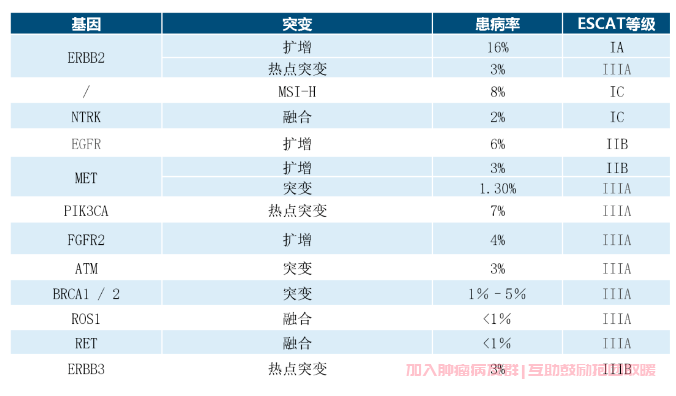 转移性胃癌基因检测哪些类型
