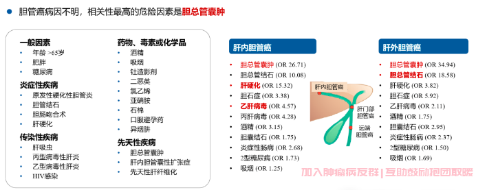 胆管癌病因