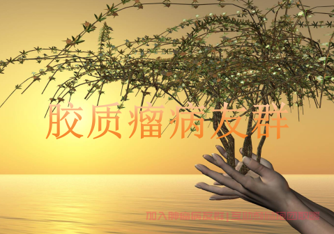 胶质瘤病友群