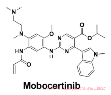 莫博赛替尼(Mobocertinib)