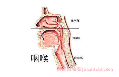 口咽部恶性肿瘤的治疗方法？口咽癌患者交流群科普