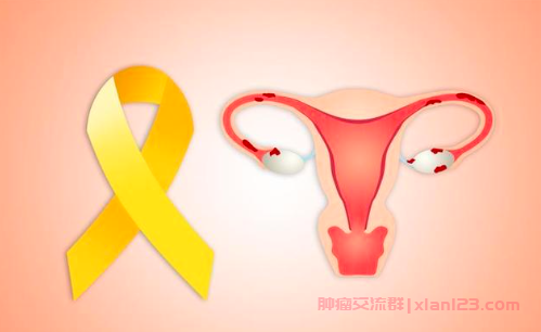 子宫内膜癌患者交流平台群