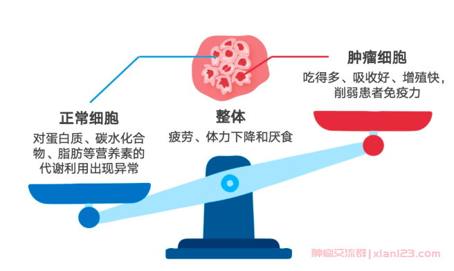 肿瘤细胞饮食作用