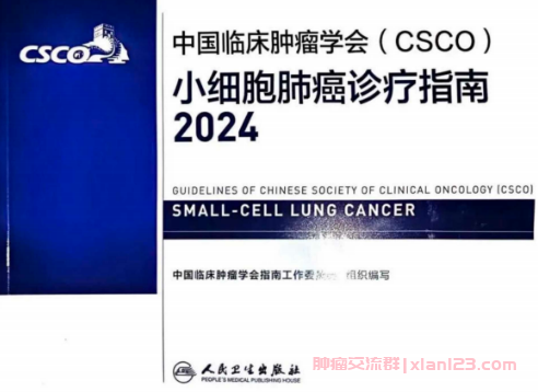 CSCO小细胞肺癌诊疗指南2024