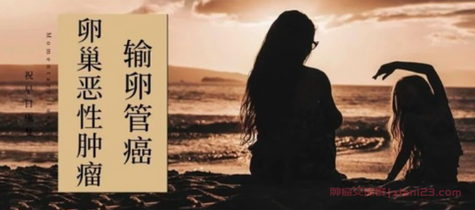 输卵管癌晚期，肝转移，化疗+肿瘤消融治疗可以中西结合治疗吗