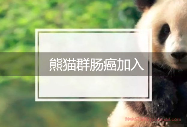 熊猫群肠癌加入，共同抗击这个“病魔”