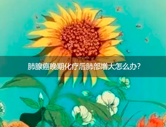 肺腺癌晚期化疗后，肺部增大1厘米，继续化疗还是有其他方案？