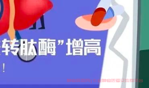 胆管癌检查肝功能指标谷氨酰转肽酶高,需要处理吗?