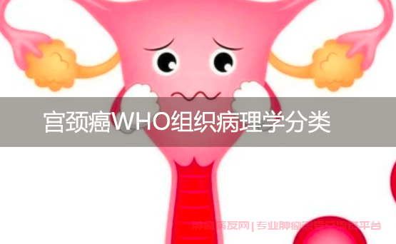 宫颈癌WHO组织病理学分类