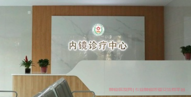 胃癌内镜治疗是什么,早期胃癌患者的内镜治疗选择