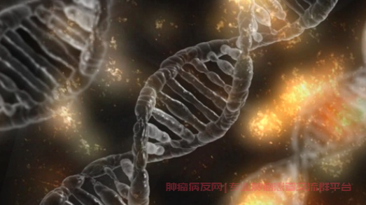 早期肺癌是否需要基因检测？哪些肺癌适合做基因检测？