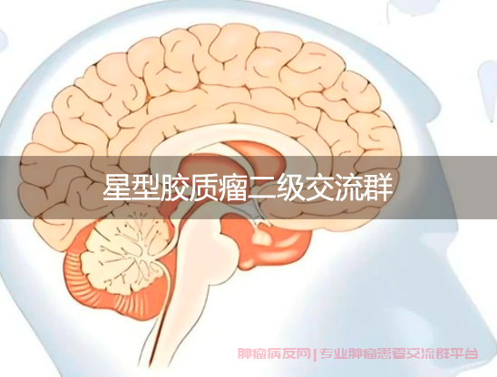 星型胶质瘤二级交流群，医疗与心理双重支持