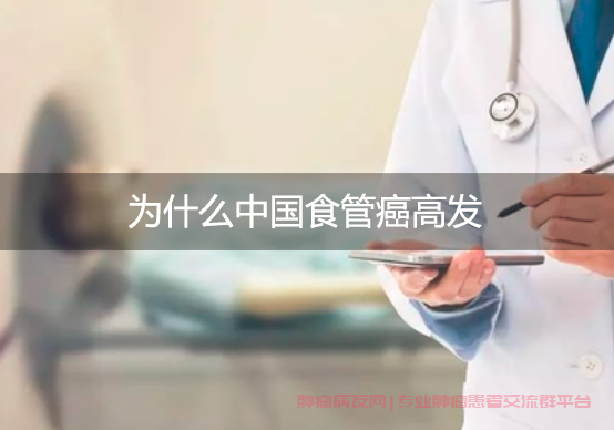 为什么中国食管癌高发