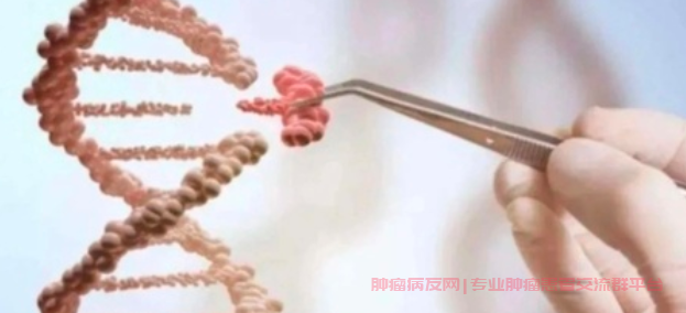 甲状腺肿瘤手术风险大吗：全面解析手术风险的真相