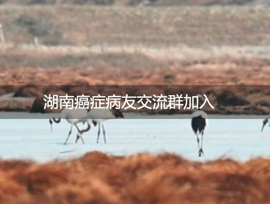 湖南癌症病友交流群：全国肿瘤患者的温暖港湾