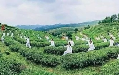 癌症患者打太极和瑜伽有什么好处？