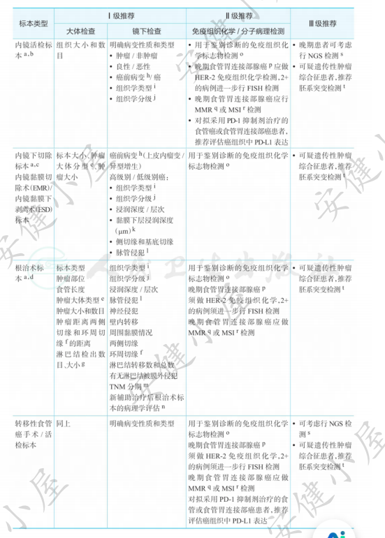 2025csco食管癌指南:病理学诊断原则