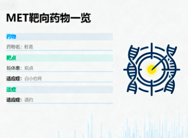 MET靶向药物一览,免费MET用药临床试验项目 MET靶向药物一览,免费MET用药临床试验项目