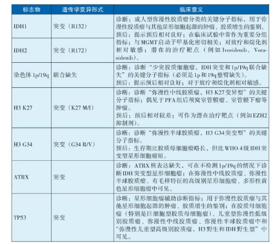 脑胶质瘤整合诊疗指南:组织病理与分子病理整合诊断,胶质瘤分类标准 脑胶质瘤整合诊疗指南:组织病理与分子病理整合诊断,胶质瘤分类标准