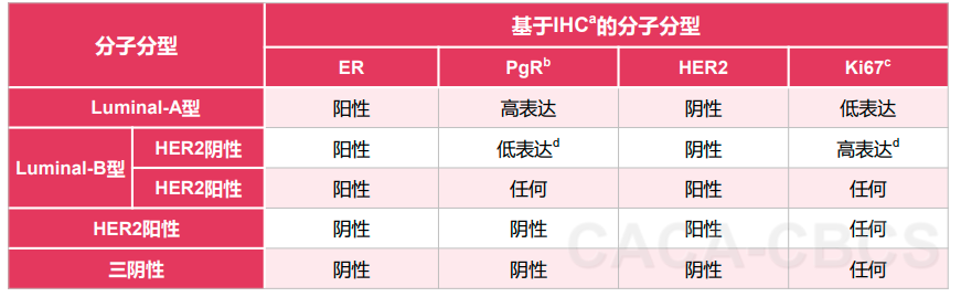 乳腺癌分子分型的标志物检测和判定
