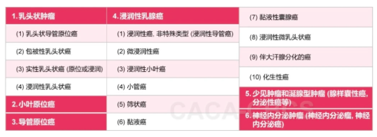 病理组织学分型