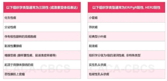 IBC 组织学类型与分子分型的相关性
