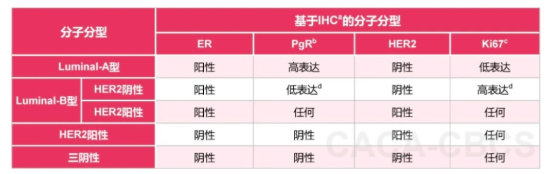 乳腺癌诊治指南与规范（2025 年版精要本）》分子分型