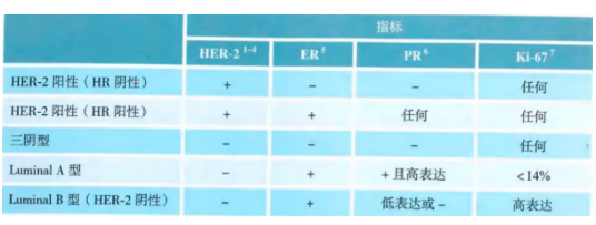 《CSCO 乳腺癌诊疗指南（2024 年版）》分子分型