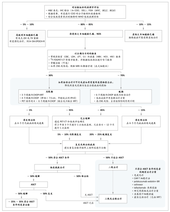 大B细胞淋巴瘤的治疗流程