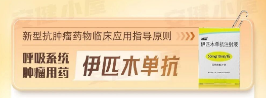 伊匹木单抗,呼吸系统肿瘤用药指导原则