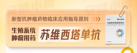 苏维西塔单抗临床应用全指南：铂耐药卵巢癌治疗新选择