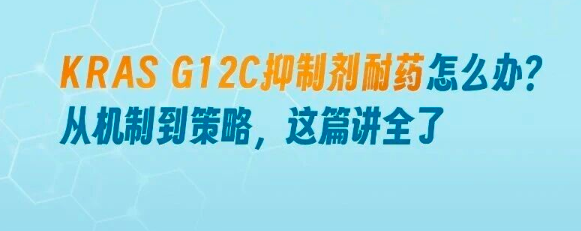 KRAS G12C抑制剂的耐药机制揭秘，多元化治疗策略