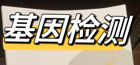 揭秘前列腺癌基因检测的关键角色 揭秘前列腺癌基因检测的关键角色